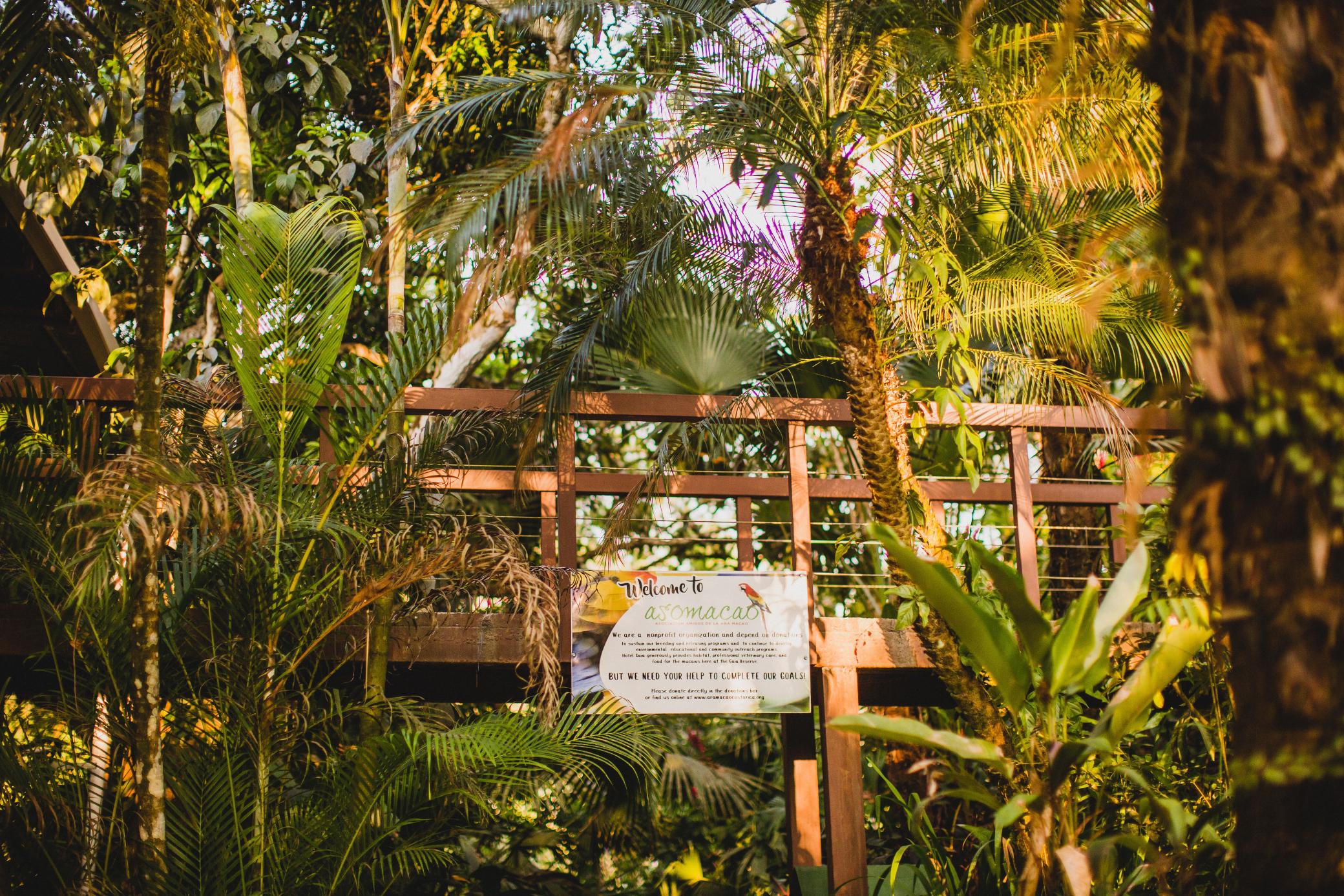 Gaia & Reserve- Adults Only Hotel Manuel Antonio