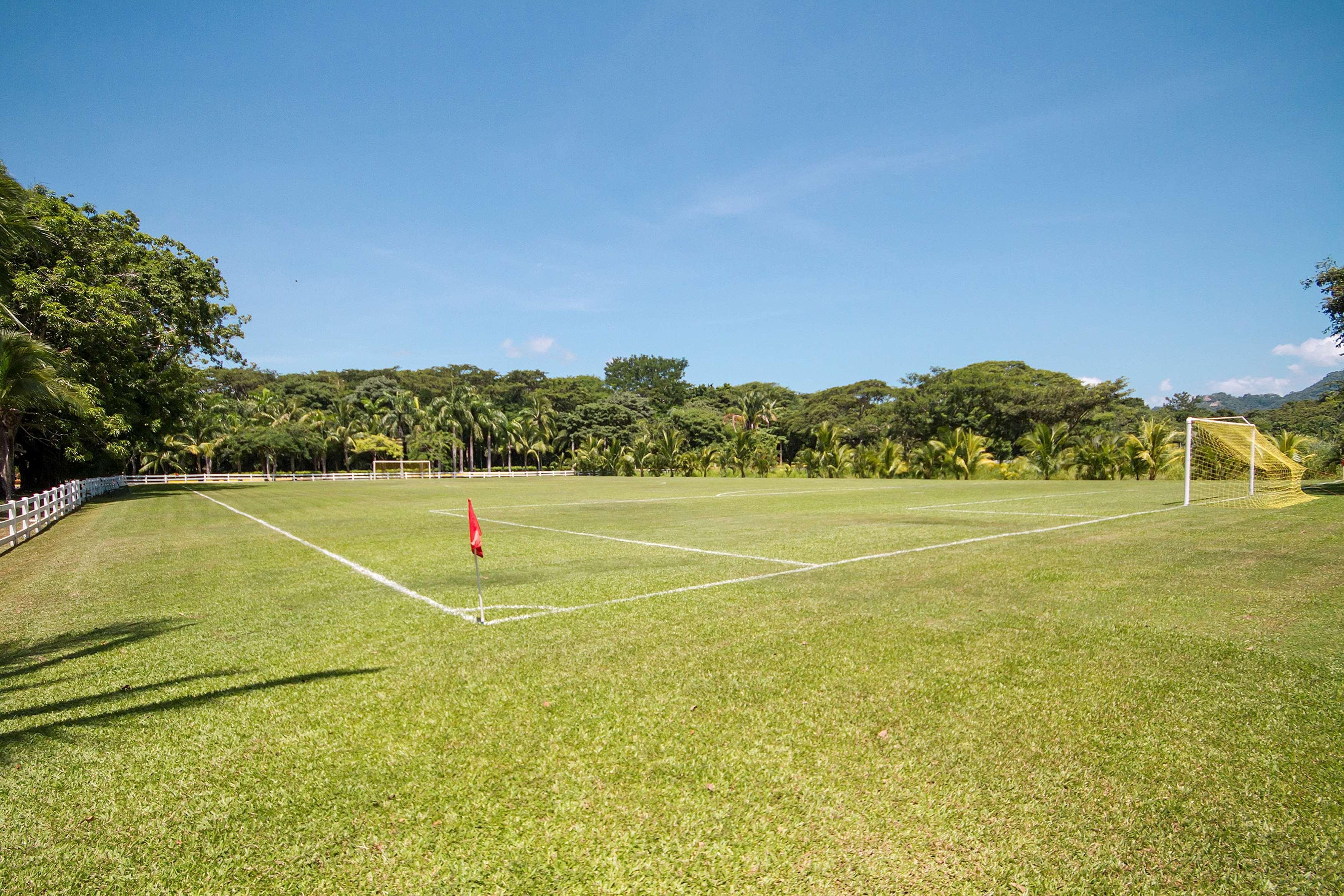 Resort Barcelo Tambor