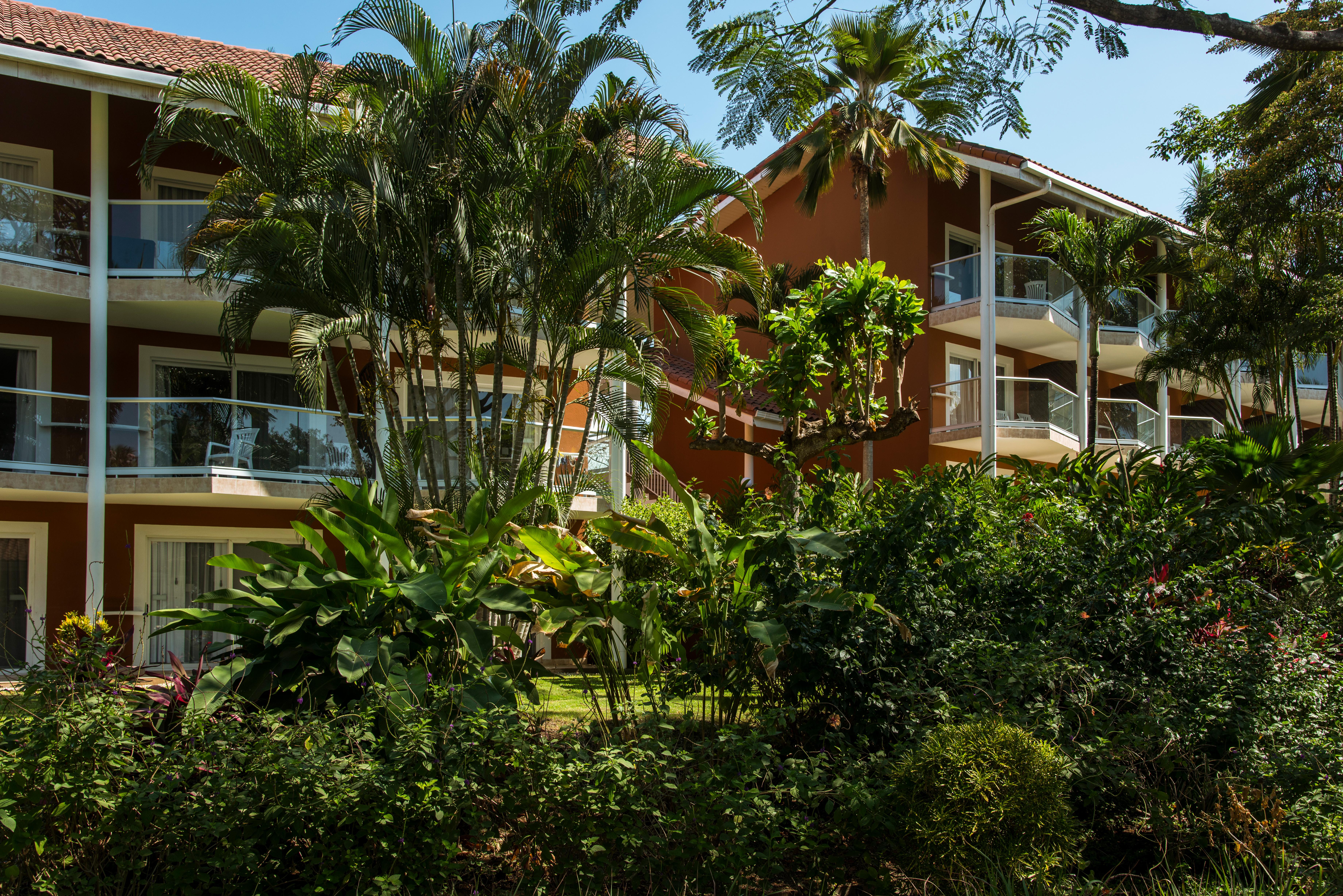 Occidental Resort 5*