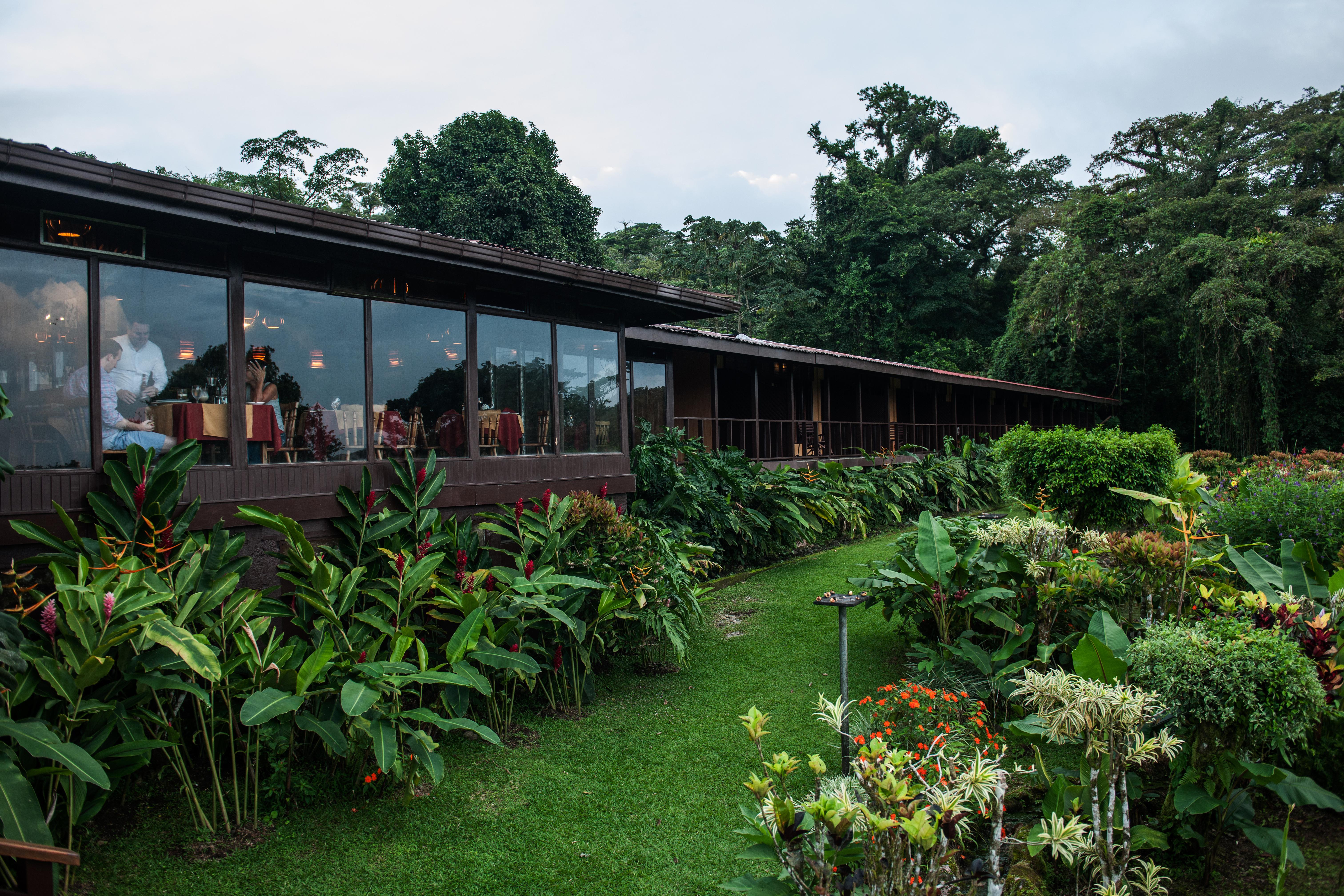Arenal *
