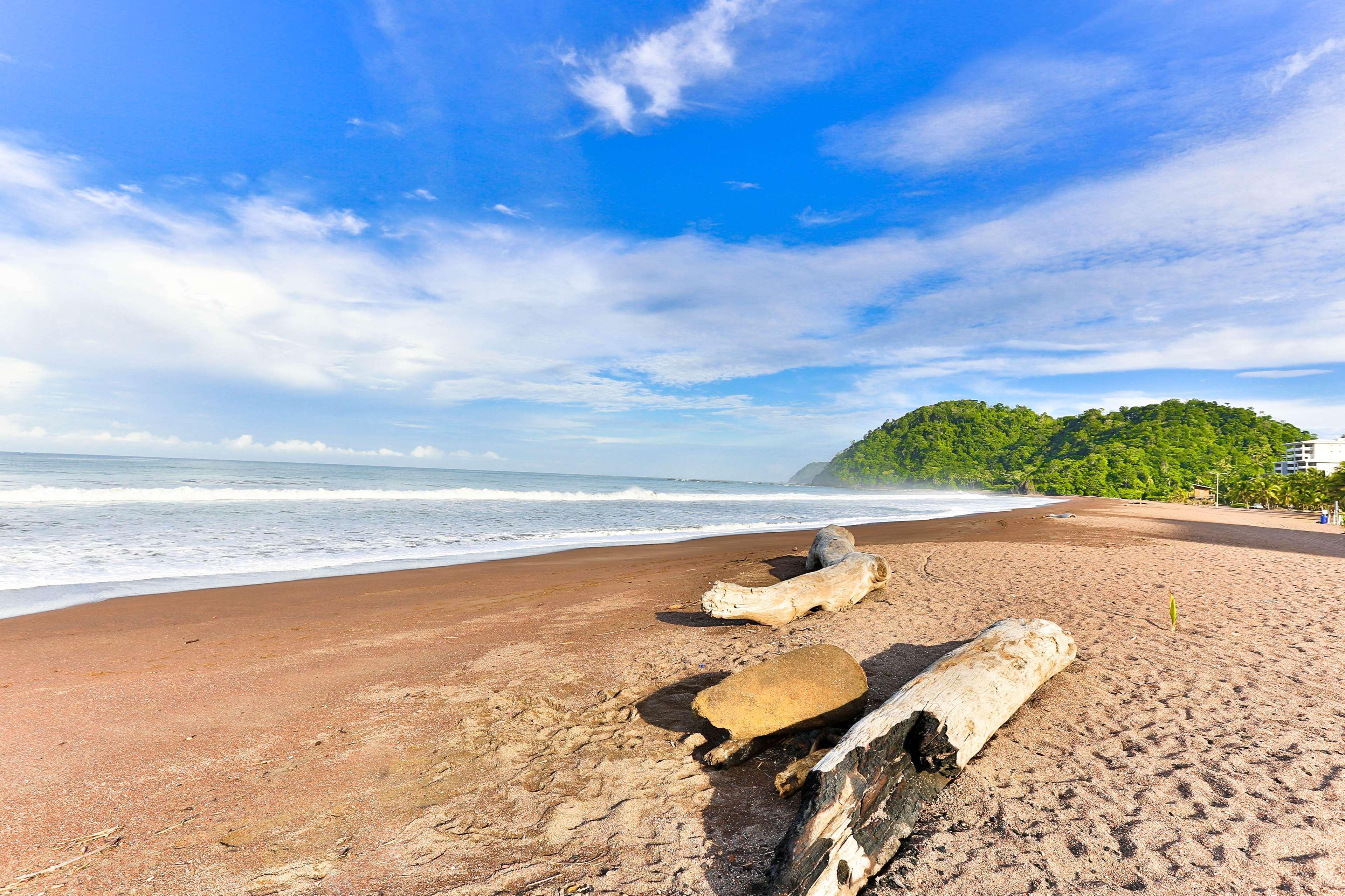 Western Jaco