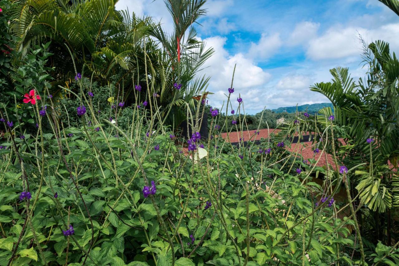 Laloon Luxury - Adults Only Playa Santa Teresa (Puntarenas)