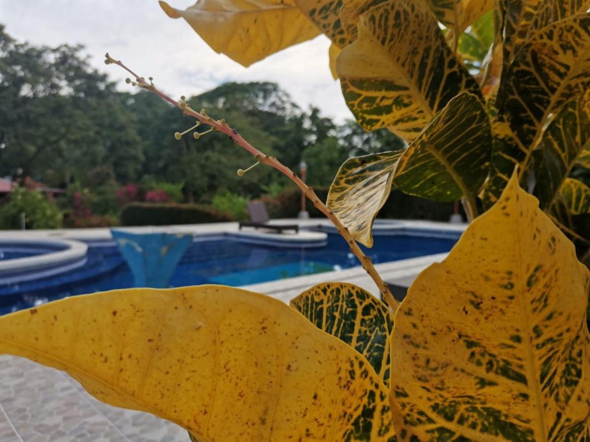 Hotel Canto De Ballenas 2*