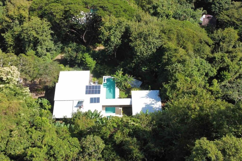 Villa Jungle Copa De Arbol, Oceanview, Infinity Montezuma