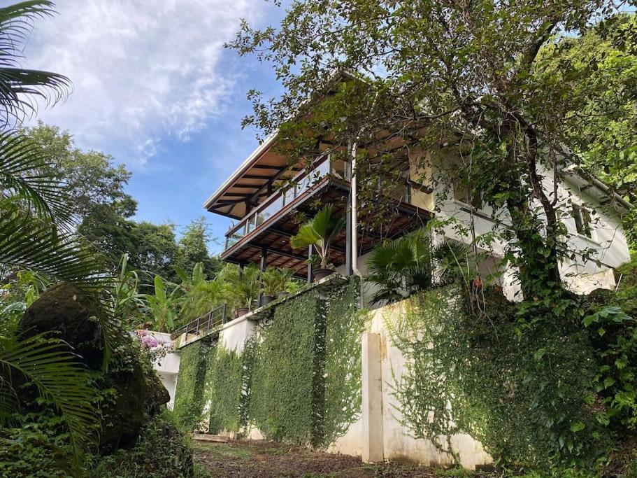 Jungle Copa De Arbol, Oceanview, Infinity Villa