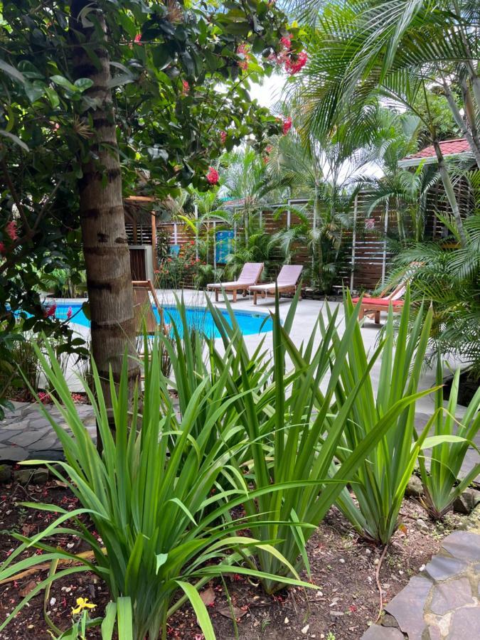 Aparthotel Anam
