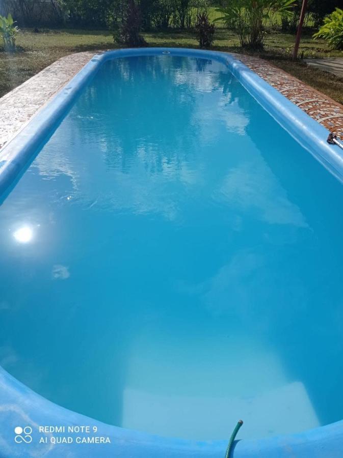 Bed & Breakfast Cocodrilo *