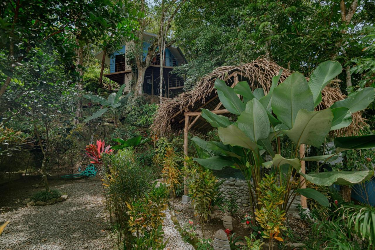 Oasis Diverse Adult Retreat Bed & Breakfast Quepos