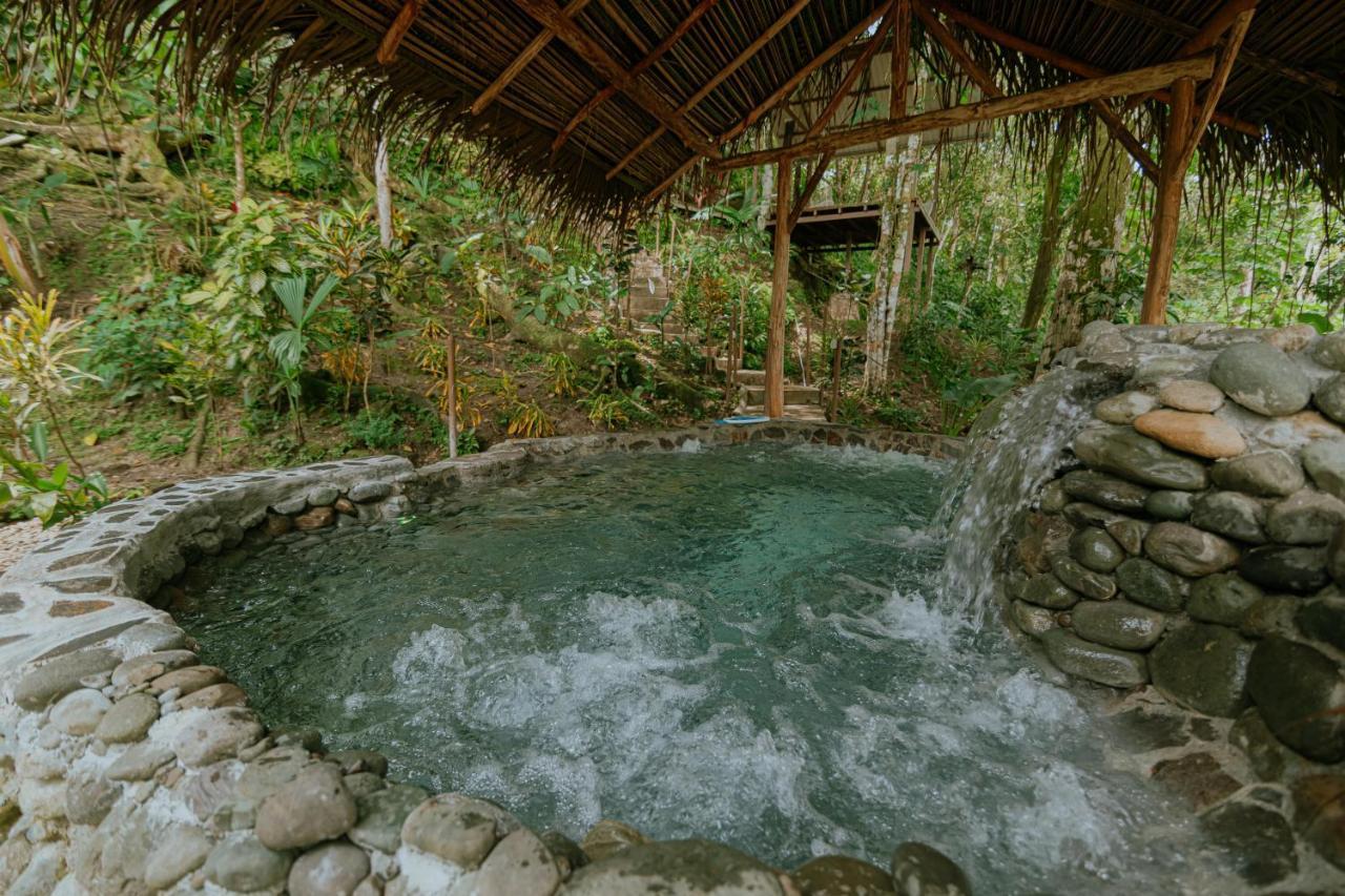 Bed & Breakfast Oasis Diverse Adult Retreat Quepos