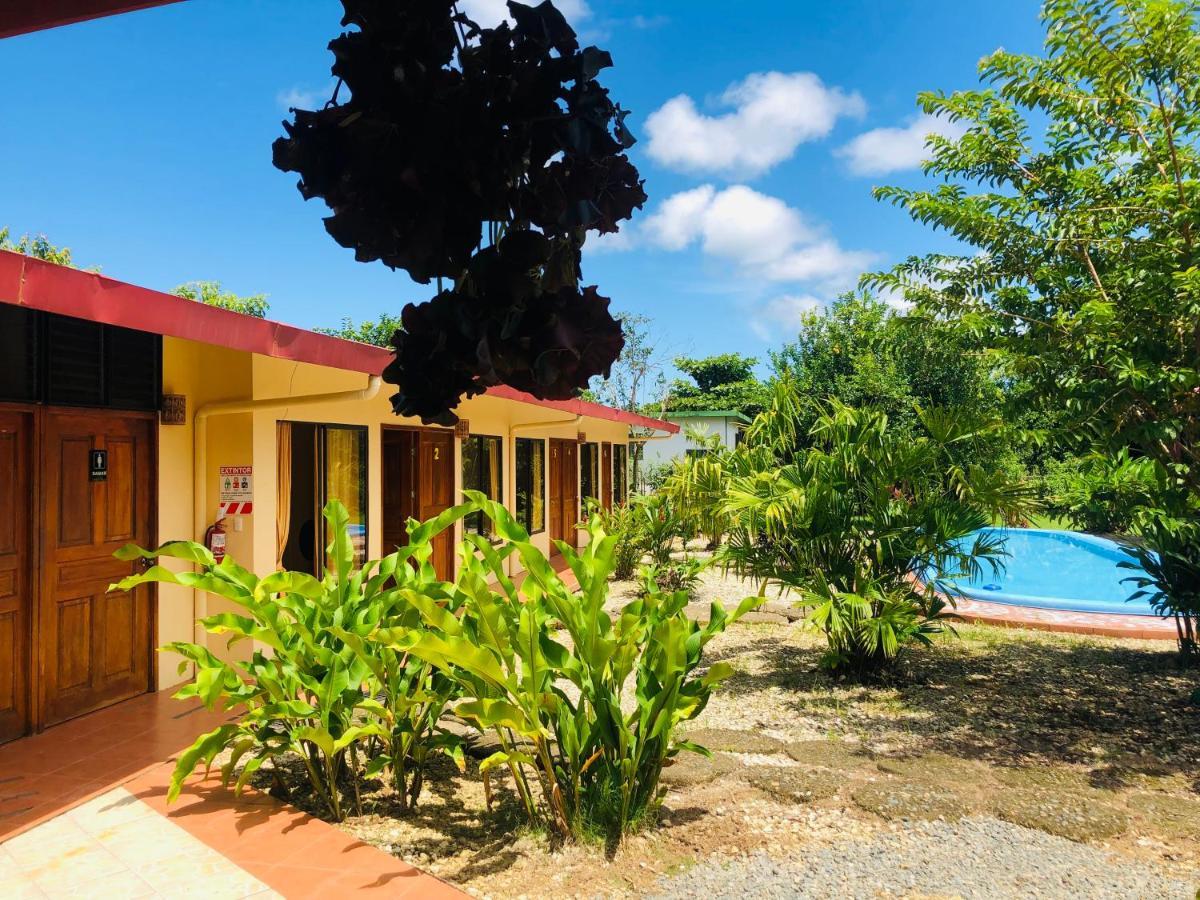 Cocodrilo Bed & Breakfast *