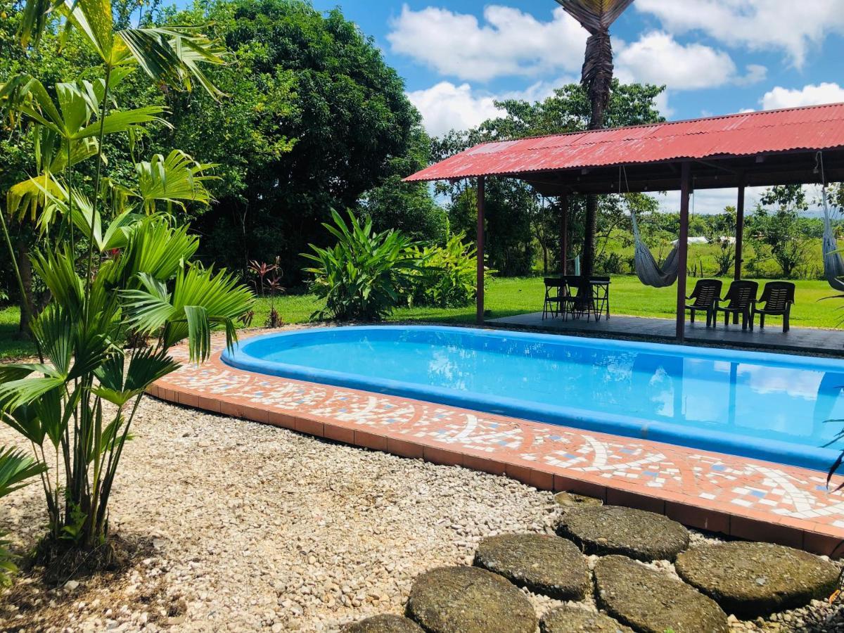 Cocodrilo Bed & Breakfast Sierpe