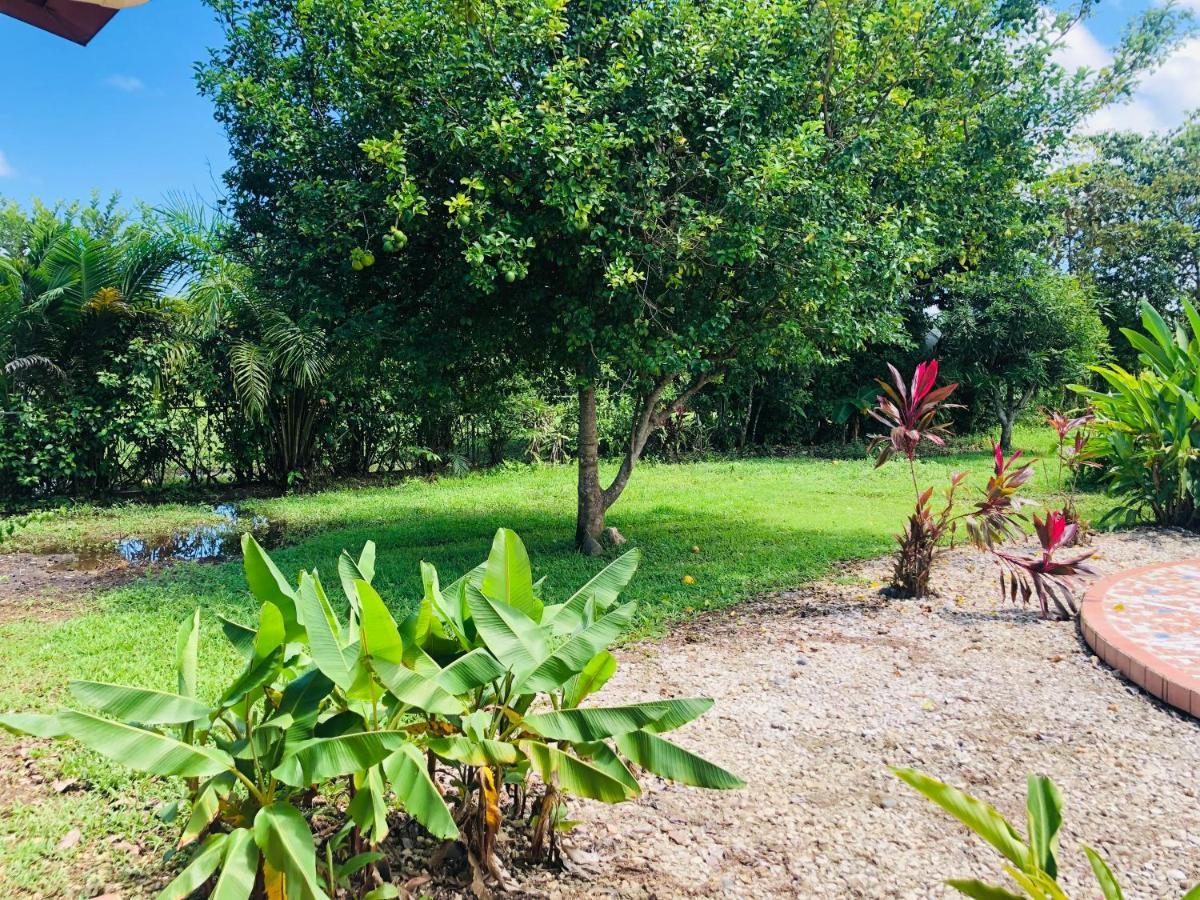 Cocodrilo Bed & Breakfast *