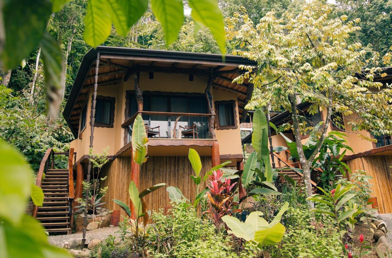Selva Armonia Immersive Jungle