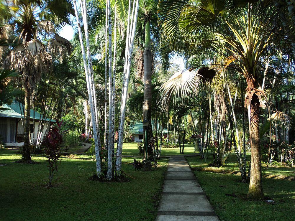 Rio Mar Hotel Dominical