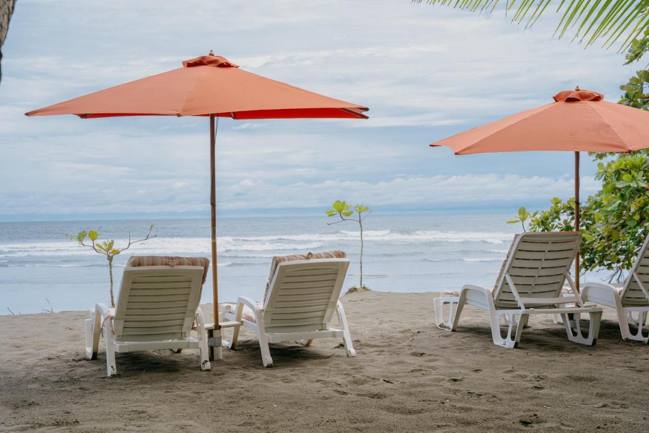 Bed & Breakfast Dreamy Contentment Matapalo (Puntarenas)