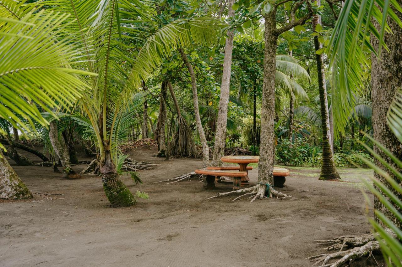 Dreamy Contentment 3* Matapalo (Puntarenas)