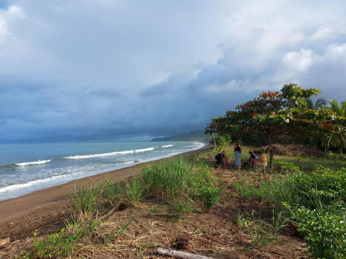Gitana Corcovado, Y Tour Operador 2* Drake Bay