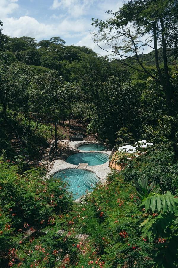 Suitree Experience