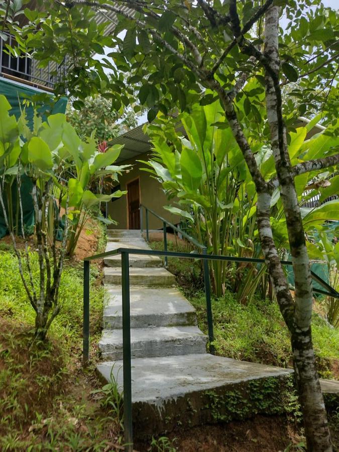 Hotel Cabinas Murillo Drake Bay
