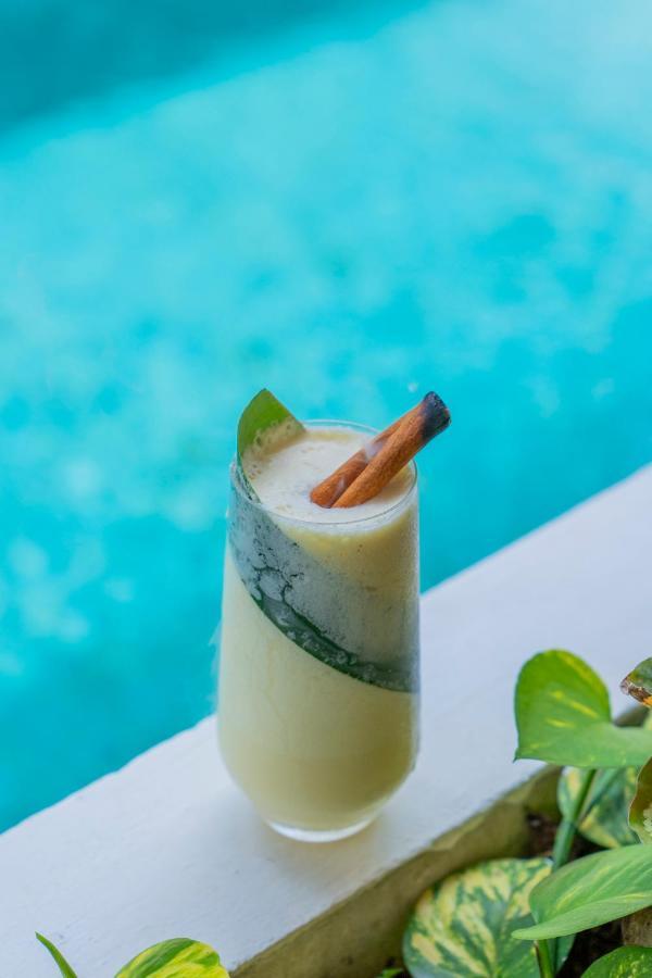 Suitree Experience Hotel Sardinal (Guanacaste)