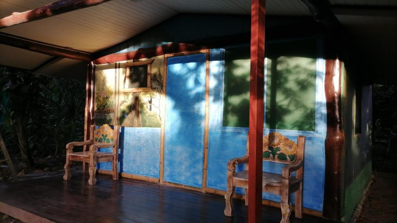 Hostel La Palapa Hut Nature *