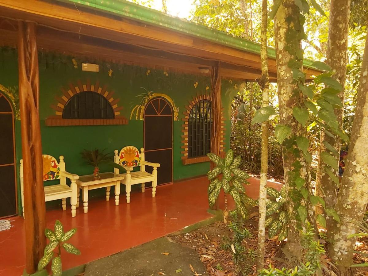 La Palapa Hut Nature