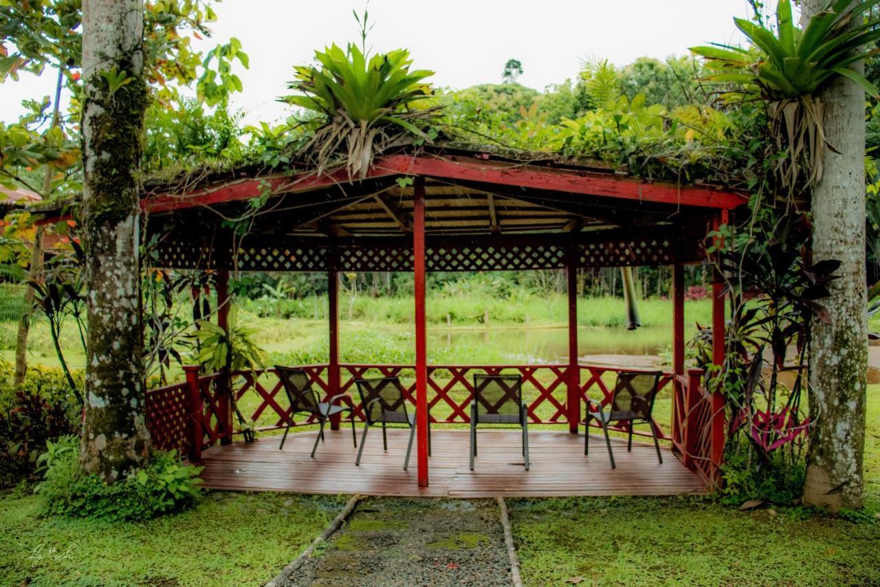 Lodge Macaw Carara