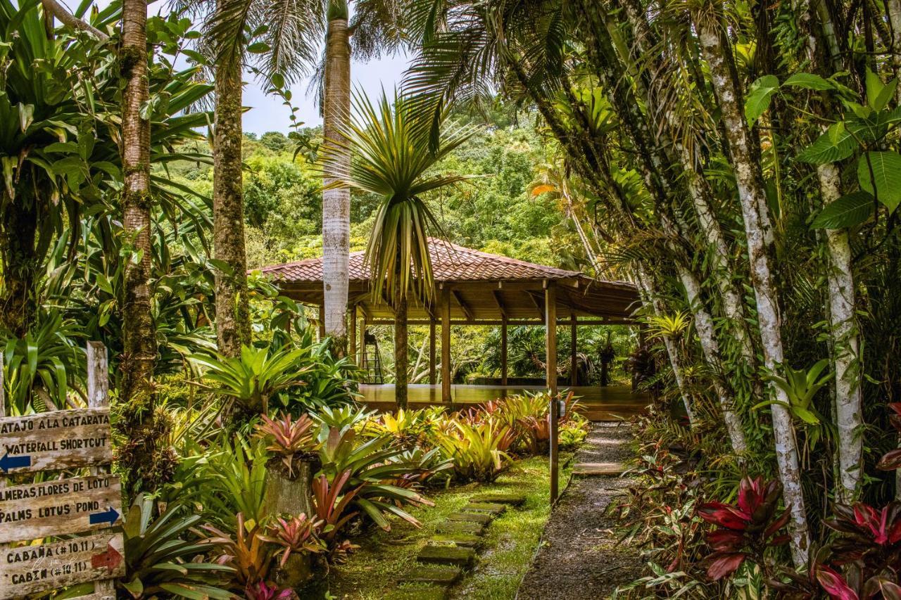 Macaw Lodge Carara