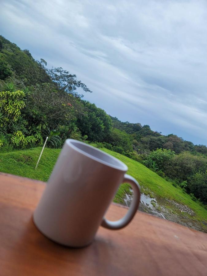 Cabinas Selva Aparthotel Monteverde