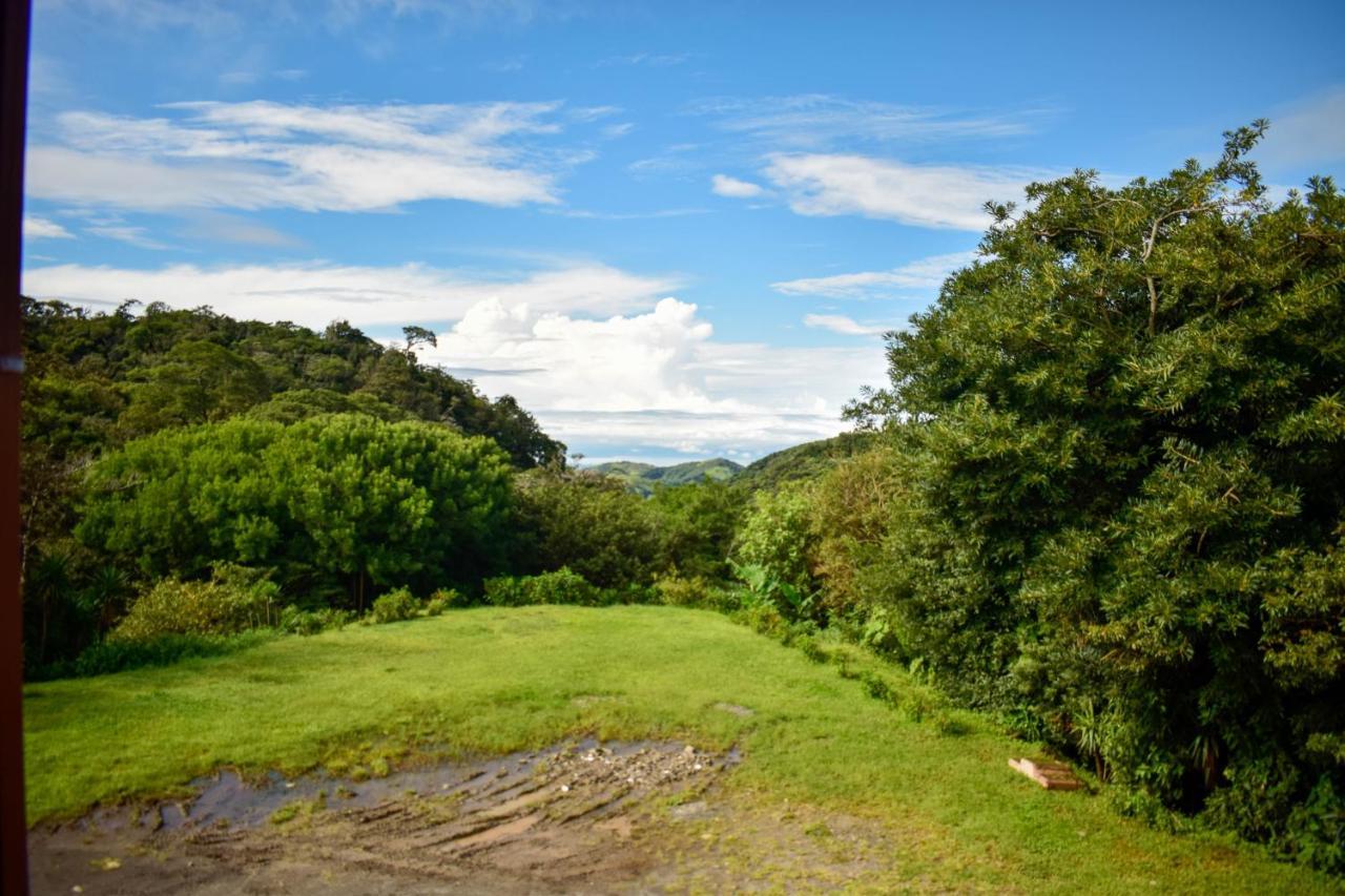 Cabinas Selva * Monteverde