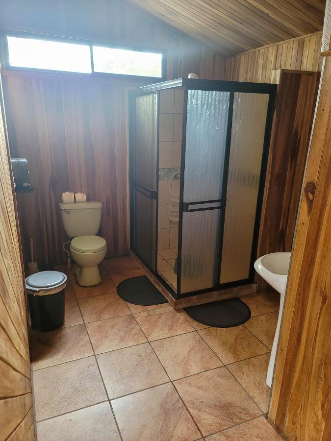 Cabinas Selva *