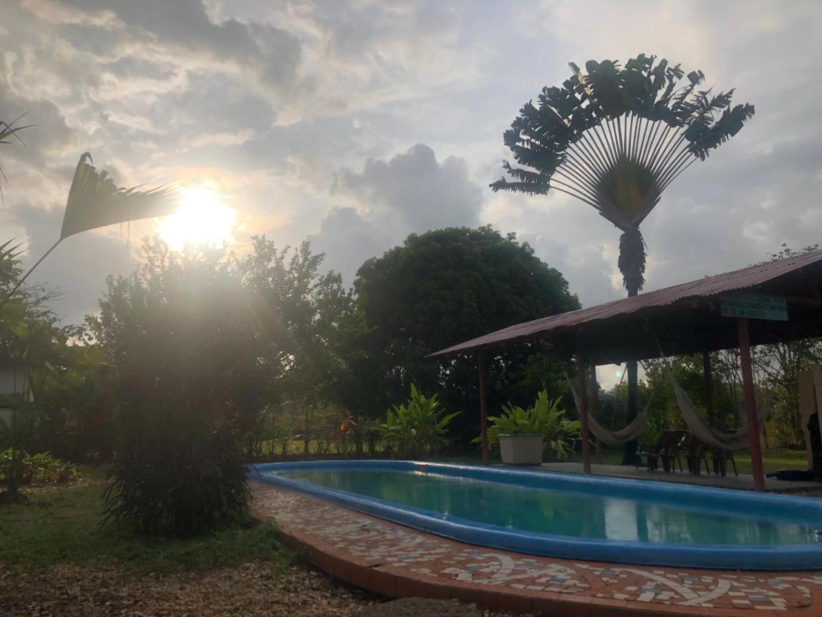 Bed & Breakfast Cocodrilo Sierpe