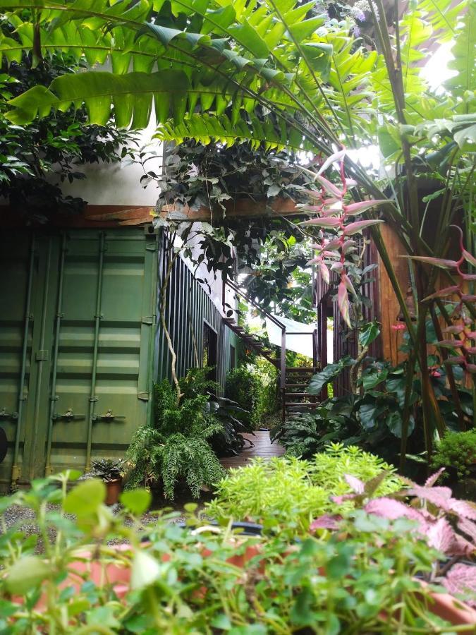 Osa De Rio Guest house *