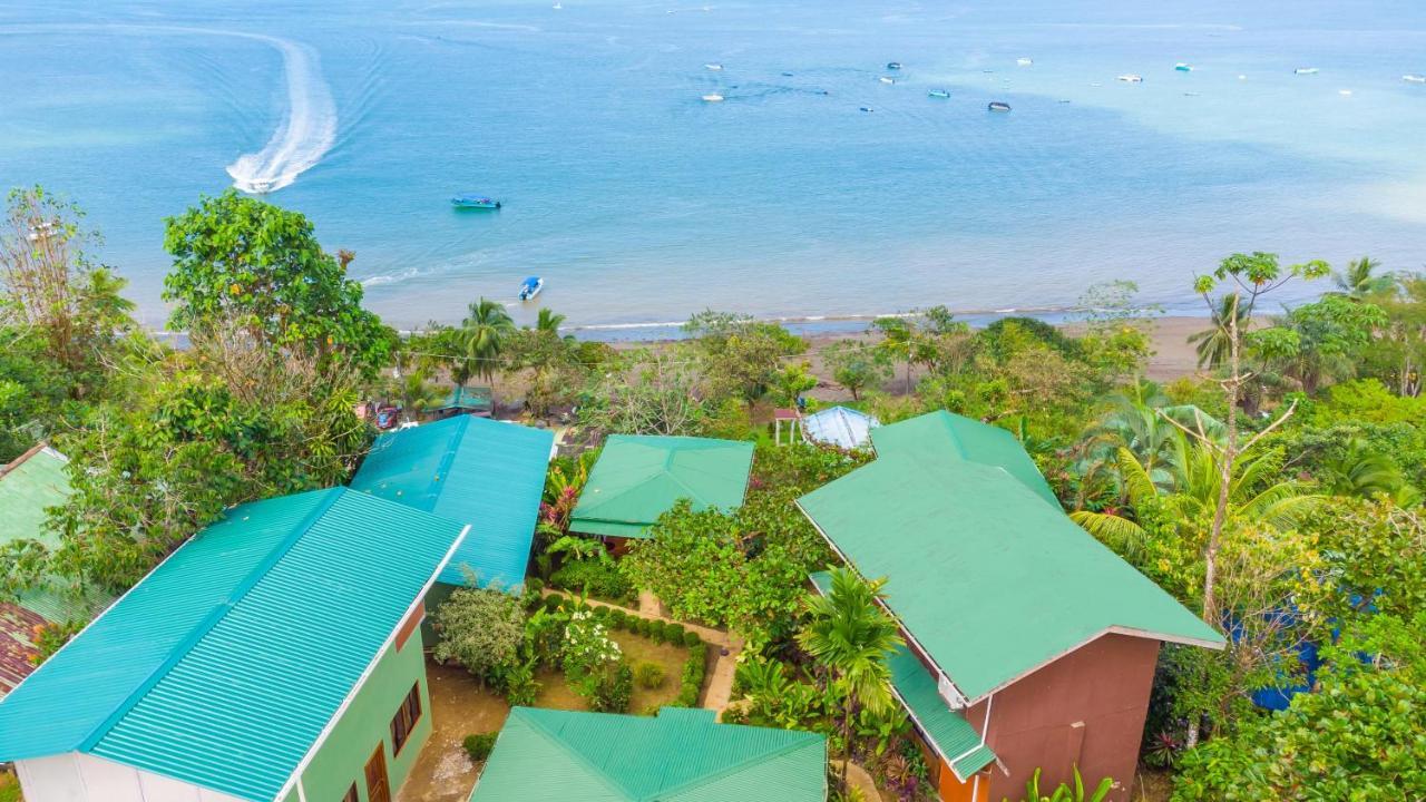 Cotingas Ocean View * Drake Bay