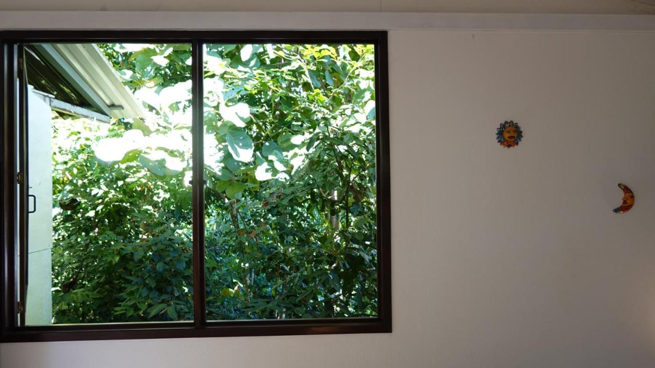 Guest house Osa De Rio *