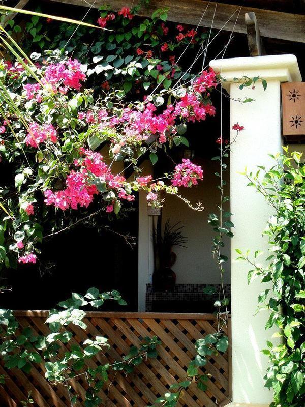 Apartment Tropical Gardens Coco Sunset Hill *