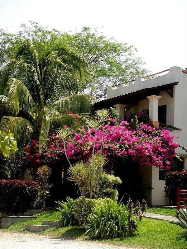 Tropical Gardens Coco Sunset Hill Apartment