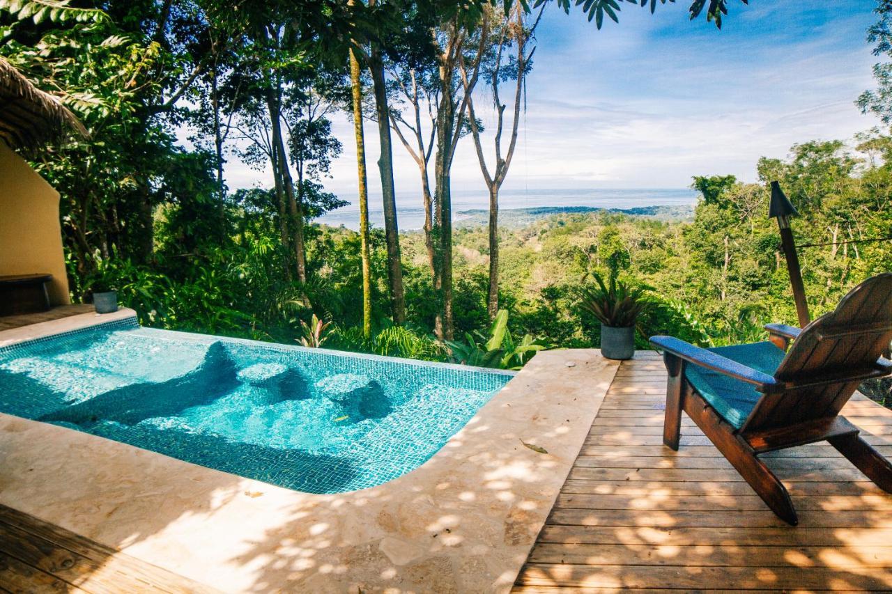 Hotel Selva Armonia Immersive Jungle