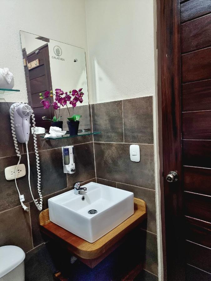 Calathea Bed & Breakfast 3*