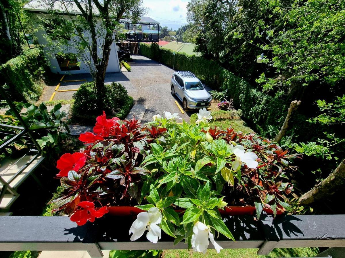 Bed & Breakfast Calathea 3*