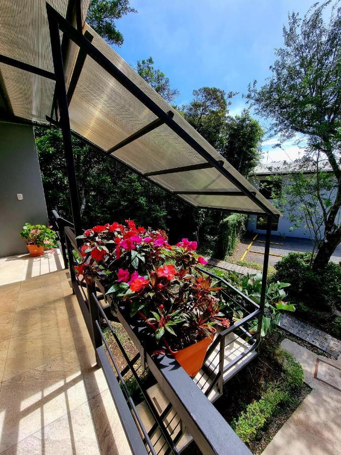 Calathea Bed & Breakfast Monteverde