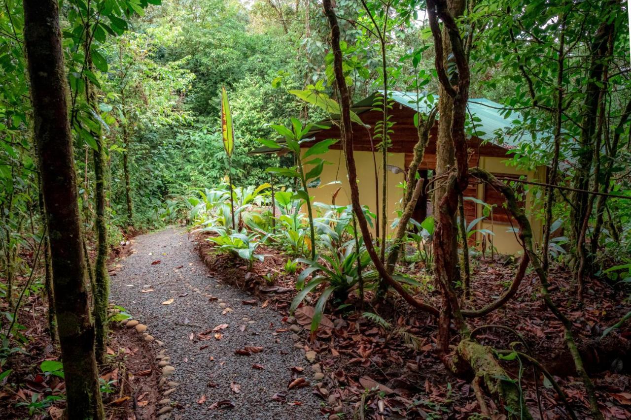 La Tigra Rainforest * La Fortuna