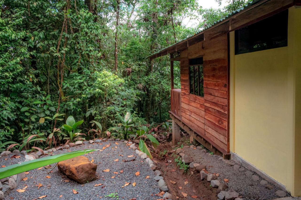 Lodge La Tigra Rainforest La Fortuna