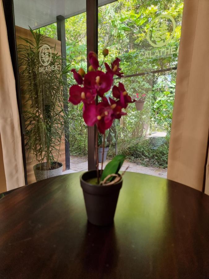 Bed & Breakfast Calathea