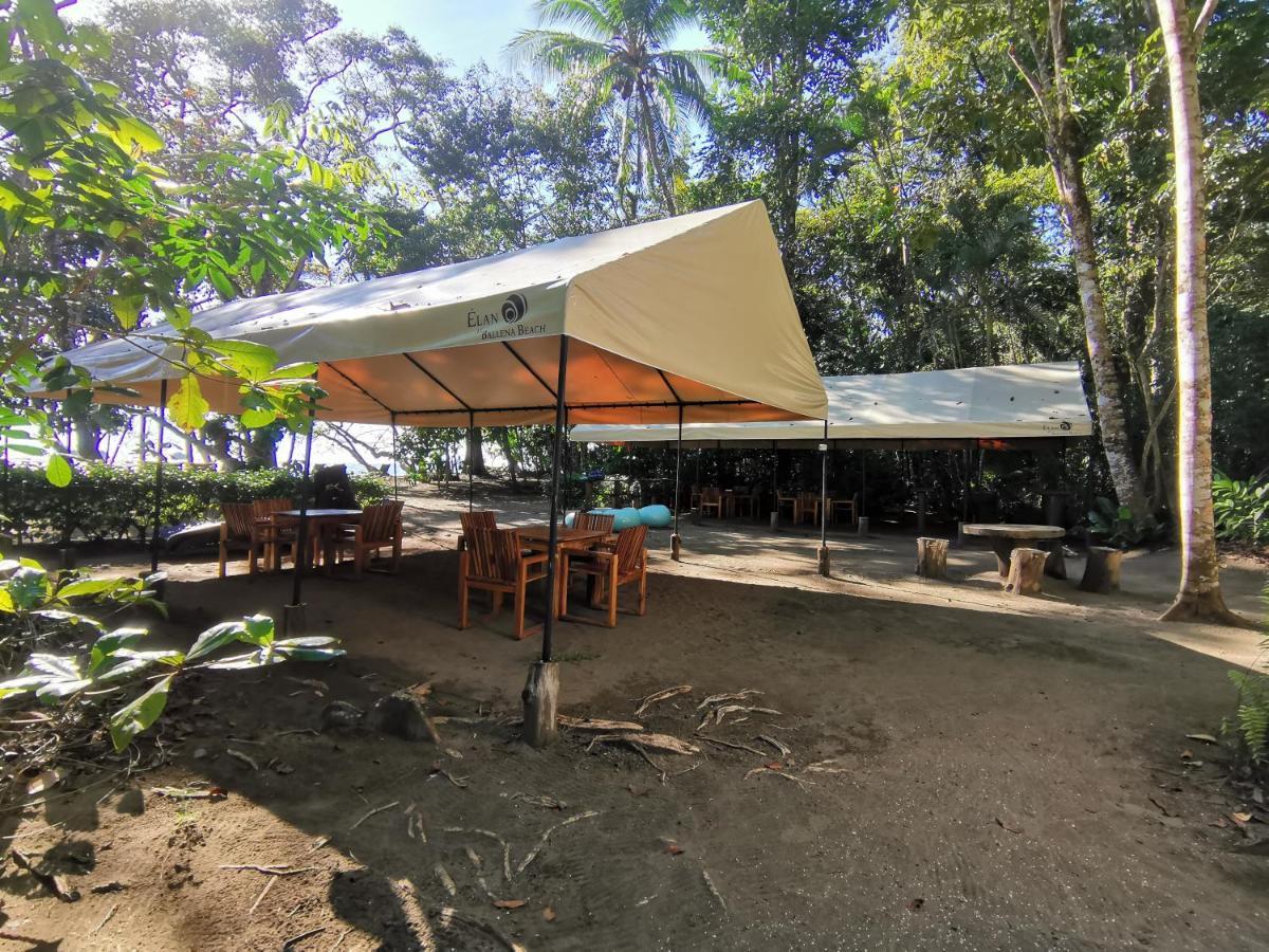 Elan At Ballena