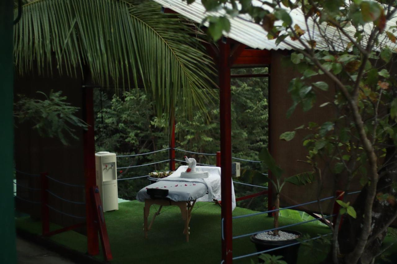Jungle's Edge