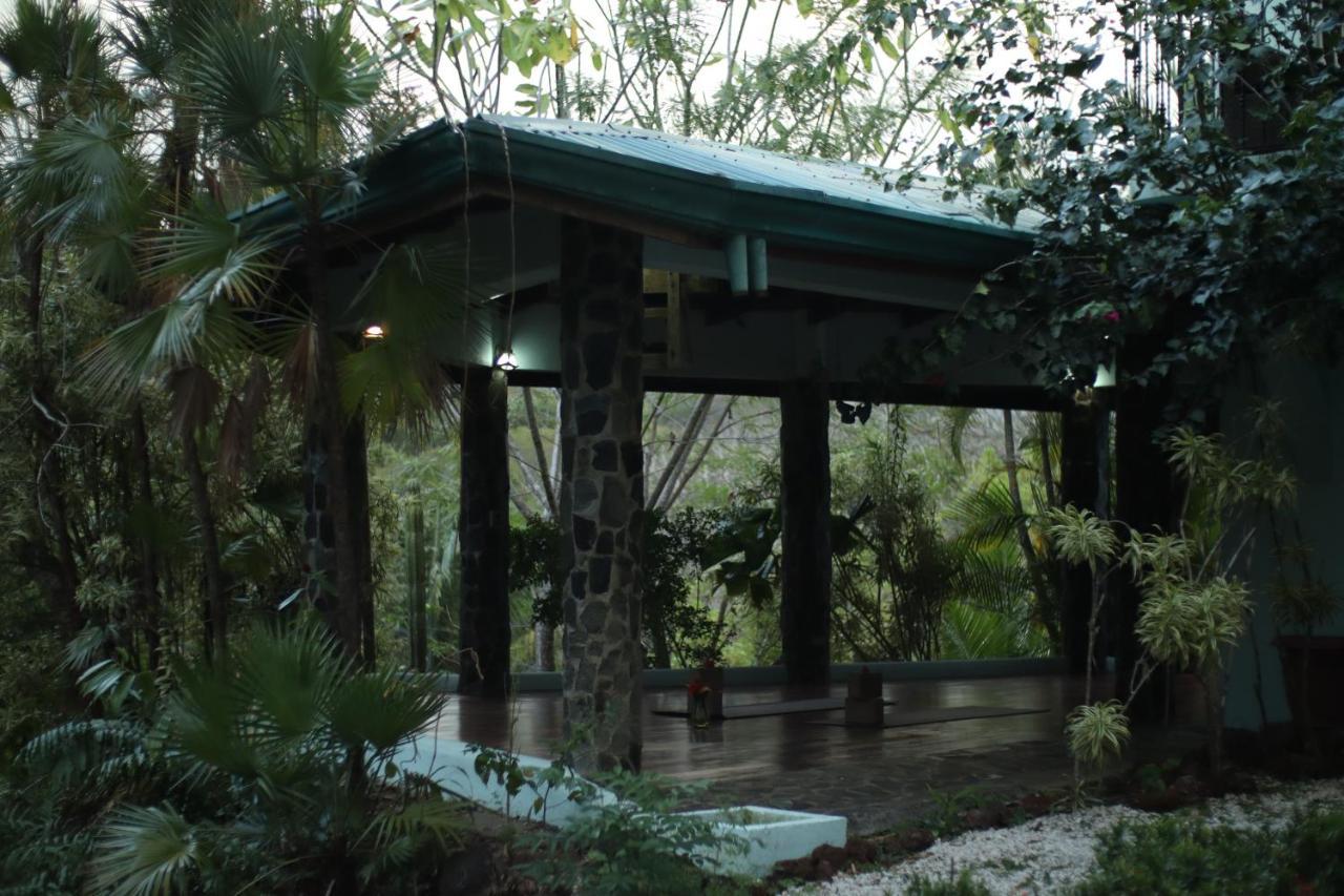Hotel Jungle's Edge 3*