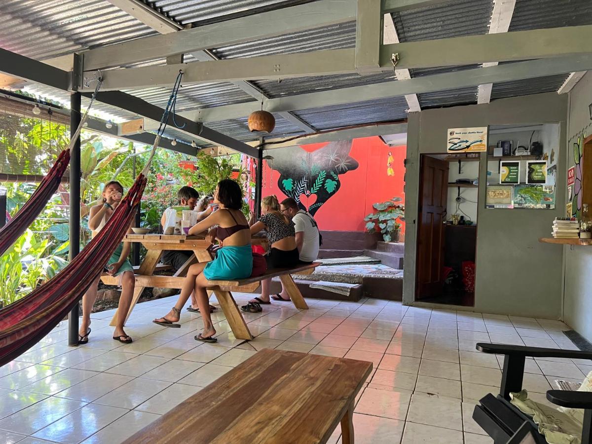 Pura Vida * Montezuma