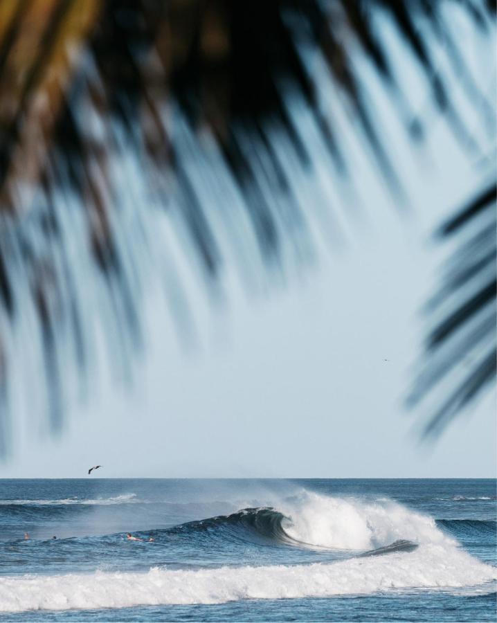 Somos Hotel Playa Santa Teresa (Puntarenas)