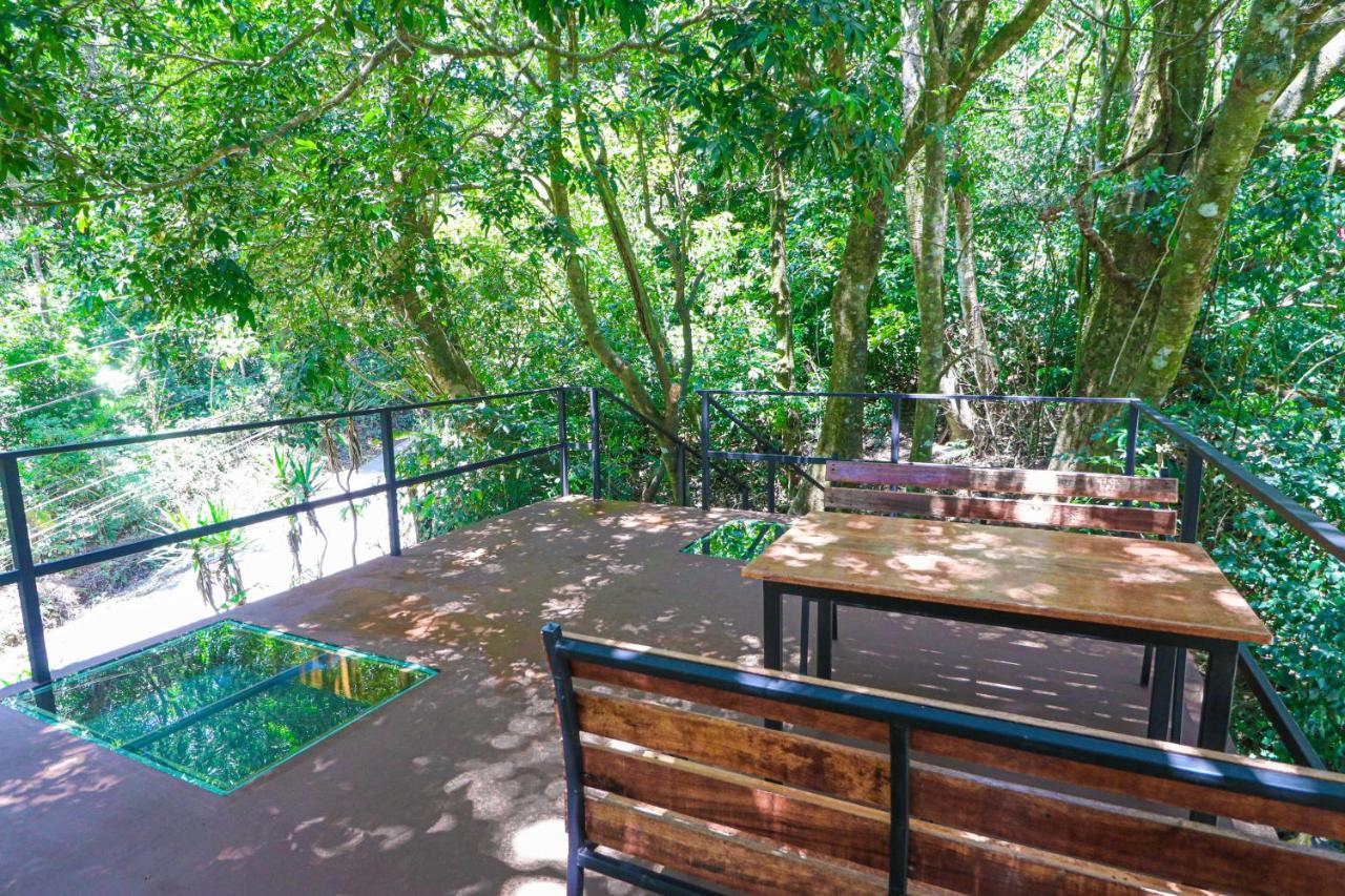 Bed & Breakfast La Casa De La Montana 2*